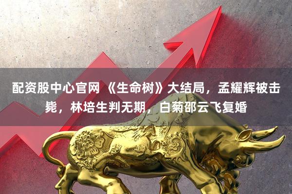 配资股中心官网 《生命树》大结局，孟耀辉被击毙，林培生判无期，白菊邵云飞复婚