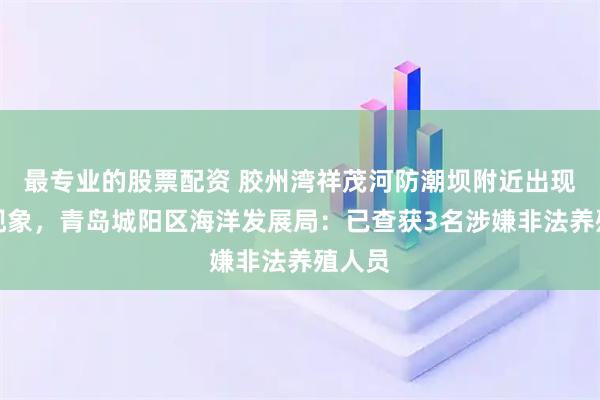 最专业的股票配资 胶州湾祥茂河防潮坝附近出现死鱼现象，青岛城阳区海洋发展局：已查获3名涉嫌非法养殖人员